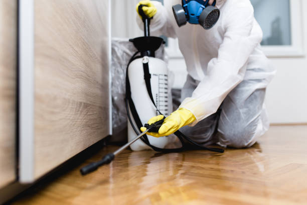 Best Wasp Removal Services  in Juneau, WI