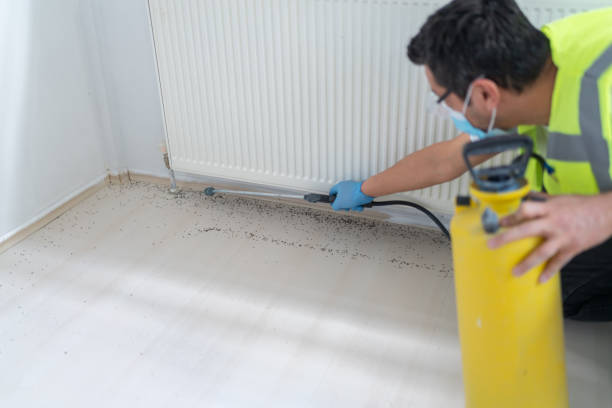 Best Emergency Pest Control  in Juneau, WI